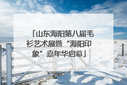 山东海阳第八届毛衫艺术展暨“海阳印象”嘉年华启幕