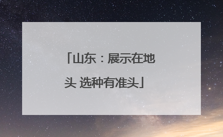山东：展示在地头 选种有准头