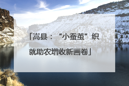 嵩县：“小蚕茧”织就助农增收新画卷