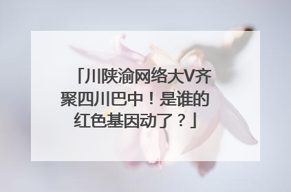 川陕渝网络大V齐聚四川巴中！是谁的红色基因动了？