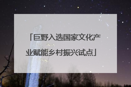 巨野入选国家文化产业赋能乡村振兴试点