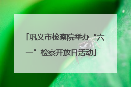巩义市检察院举办“六一”检察开放日活动