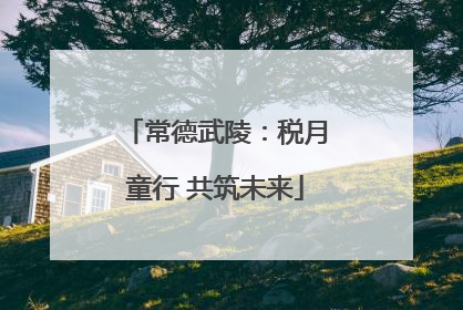 常德武陵：税月童行 共筑未来