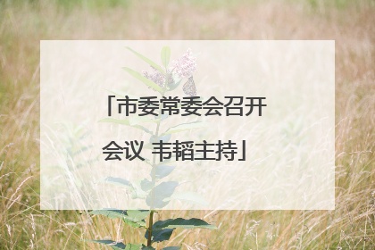 市委常委会召开会议 韦韬主持