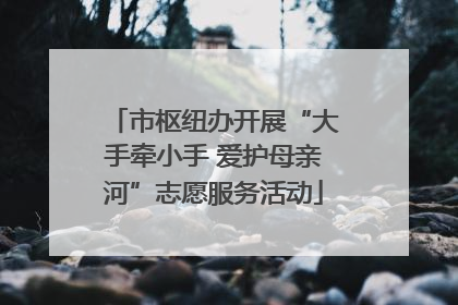 市枢纽办开展“大手牵小手 爱护母亲河”志愿服务活动