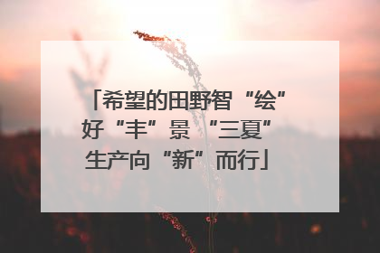 希望的田野智“绘”好“丰”景 “三夏”生产向“新”而行