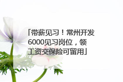 带薪见习！常州开发6000见习岗位，领工资交保险可留用