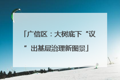 广信区：大树底下“议”出基层治理新图景