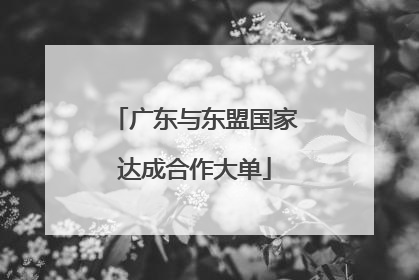 广东与东盟国家达成合作大单