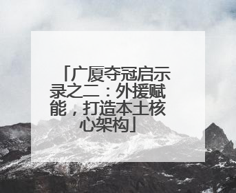 广厦夺冠启示录之二：外援赋能，打造本土核心架构
