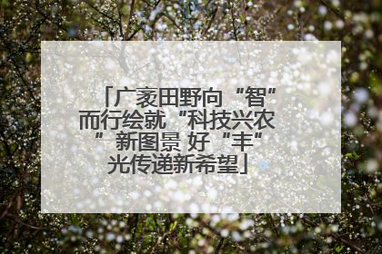 广袤田野向“智”而行绘就“科技兴农”新图景 好“丰”光传递新希望