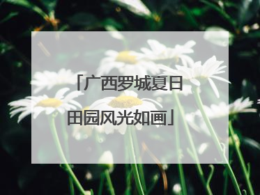 广西罗城夏日田园风光如画