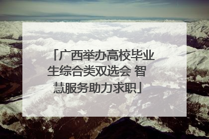 广西举办高校毕业生综合类双选会 智慧服务助力求职