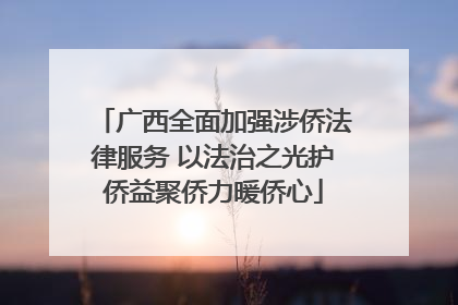 广西全面加强涉侨法律服务 以法治之光护侨益聚侨力暖侨心