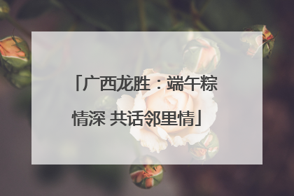 广西龙胜：端午粽情深 共话邻里情