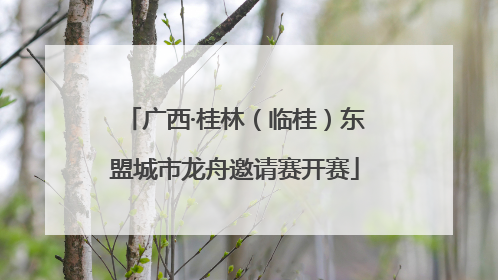 广西·桂林（临桂）东盟城市龙舟邀请赛开赛