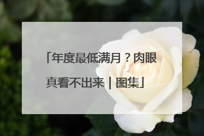 年度最低满月？肉眼真看不出来｜图集