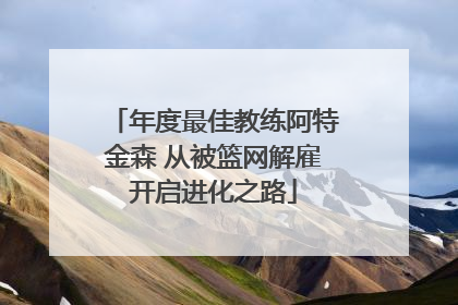 年度最佳教练阿特金森 从被篮网解雇开启进化之路