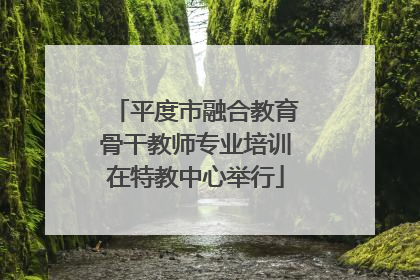 平度市融合教育骨干教师专业培训在特教中心举行