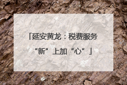 延安黄龙：税费服务“新”上加“心”