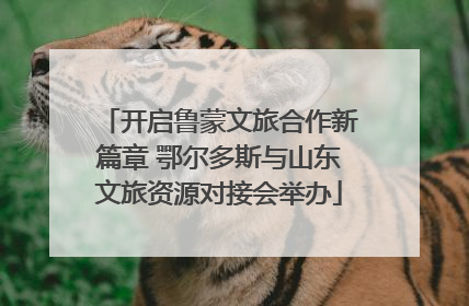 开启鲁蒙文旅合作新篇章 鄂尔多斯与山东文旅资源对接会举办