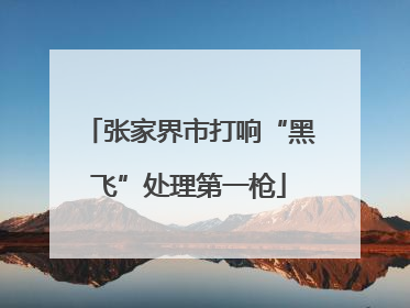 张家界市打响“黑飞”处理第一枪