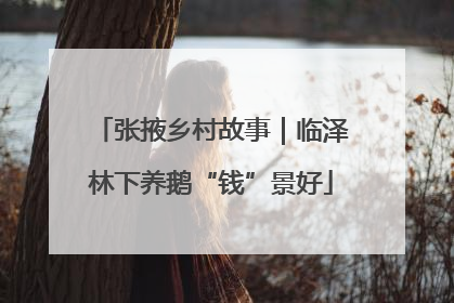 张掖乡村故事｜临泽林下养鹅“钱”景好
