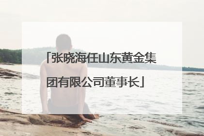 张晓海任山东黄金集团有限公司董事长