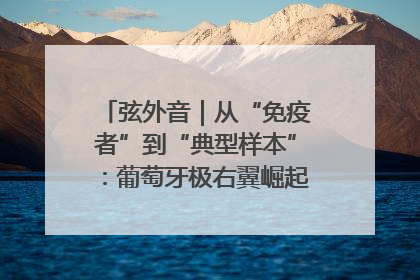 弦外音｜从“免疫者”到“典型样本”：葡萄牙极右翼崛起背后的欧洲困局