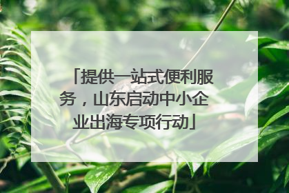 提供一站式便利服务，山东启动中小企业出海专项行动