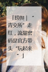 捞舆｜“青交所”走红，流量密码是官方带头“玩起来”