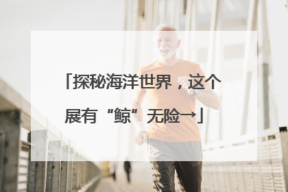 探秘海洋世界，这个展有“鲸”无险→