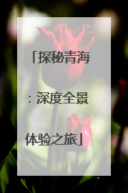 探秘青海：深度全景体验之旅