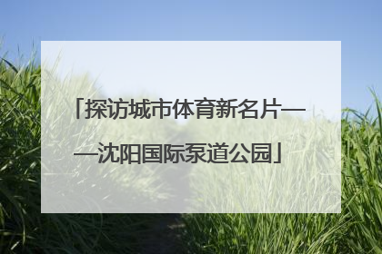 探访城市体育新名片——沈阳国际泵道公园