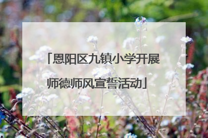 恩阳区九镇小学开展师德师风宣誓活动
