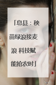 息县：秧苗绿浪接麦浪 科技赋能抢农时