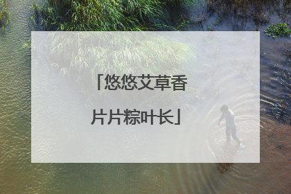 悠悠艾草香 片片粽叶长