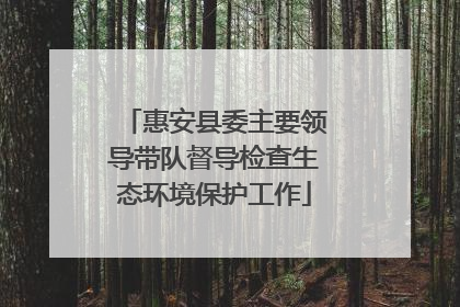 惠安县委主要领导带队督导检查生态环境保护工作