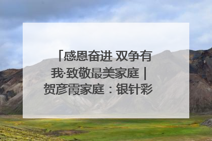 感恩奋进 双争有我·致敬最美家庭｜贺彦霞家庭：银针彩线绣出好日子