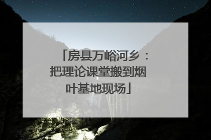 房县万峪河乡：把理论课堂搬到烟叶基地现场