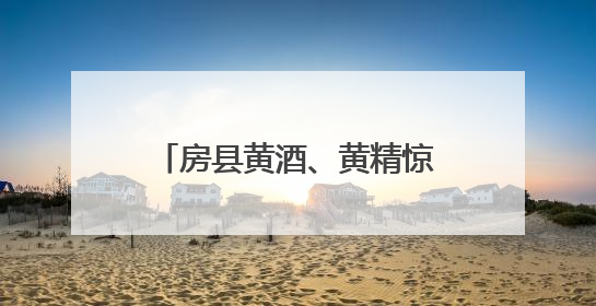 房县黄酒、黄精惊艳亮相中国国际文化产业博览交易会
