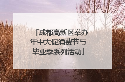 成都高新区举办年中大促消费节与毕业季系列活动