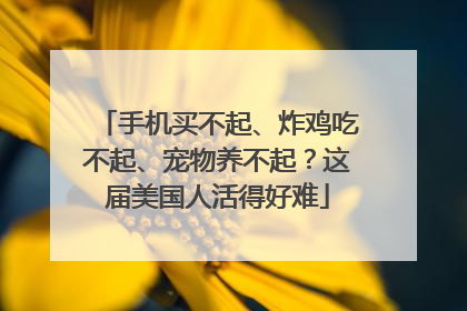 手机买不起、炸鸡吃不起、宠物养不起？这届美国人活得好难