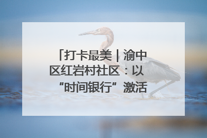 打卡最美｜渝中区红岩村社区：以“时间银行”激活垃圾分类新动能