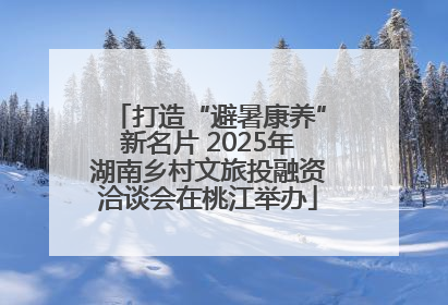 打造“避暑康养”新名片 2025年湖南乡村文旅投融资洽谈会在桃江举办