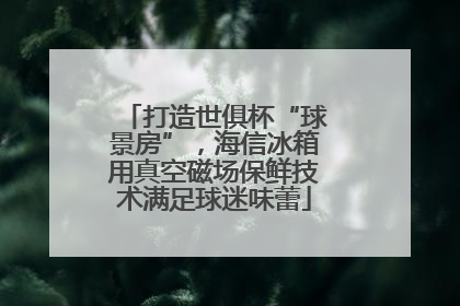 打造世俱杯“球景房”，海信冰箱用真空磁场保鲜技术满足球迷味蕾