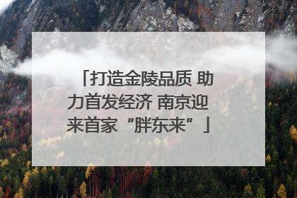 打造金陵品质 助力首发经济 南京迎来首家“胖东来”