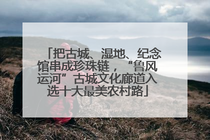 把古城、湿地、纪念馆串成珍珠链，“鲁风运河”古城文化廊道入选十大最美农村路