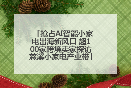 抢占AI智能小家电出海新风口 超100家跨境卖家探访慈溪小家电产业带