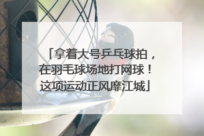 拿着大号乒乓球拍，在羽毛球场地打网球！这项运动正风靡江城